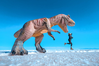 Multi-day Tours and Trips from La Paz