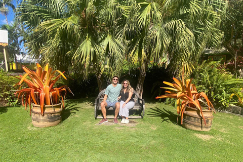 St. Kitts: Panoramic Full Island Tour with Lunch and Beach