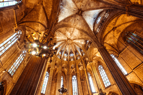 Barcelona Cathedral: Ticket, Guided Tour and VR ExperienceBarcelona Cathedral: Guided Tour In English