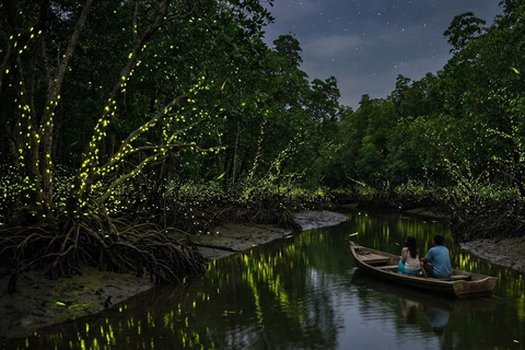 From Kuala Lumpur: Kuala Selangor Firefly Cruise & Dinner