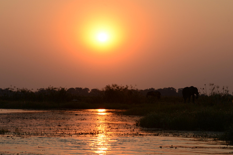 Chobe Private Tagestour Ein luxuriöses Safari-Erlebnis
