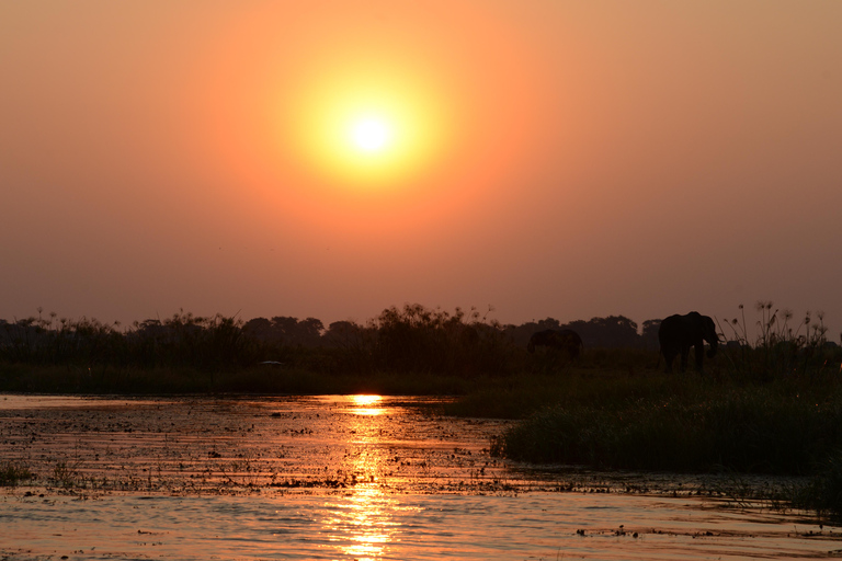 Chobe Private Tagestour Ein luxuriöses Safari-Erlebnis