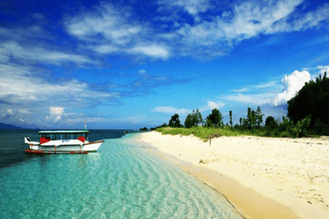 From Lombok Or Sumbawa Sharing 2D1N Whale Shark Snorkeling Starting from Sumbawa 2D1N Whale Shark with Snorkeling