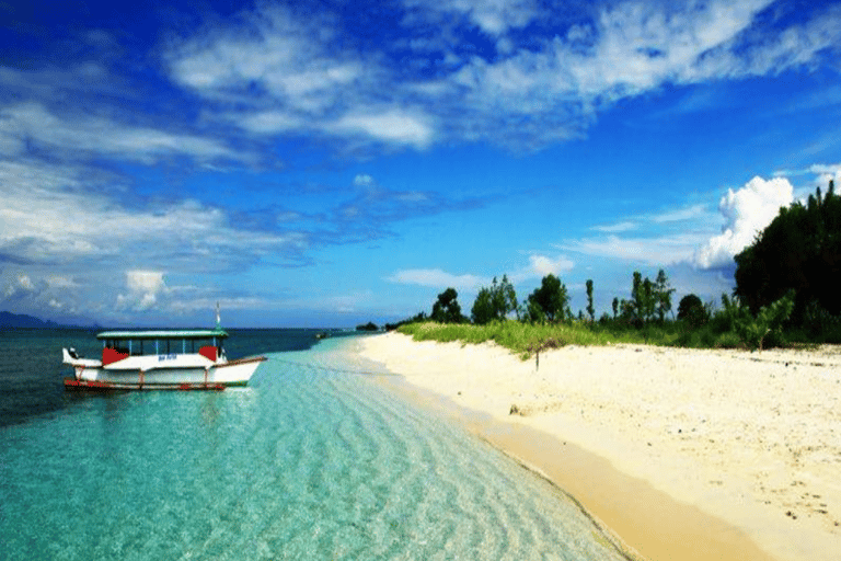 From Lombok Or Sumbawa Sharing 2D1N Whale Shark Snorkeling Starting from Sumbawa 2D1N Whale Shark with Snorkeling