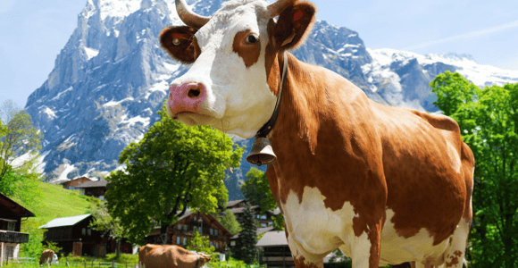 Von Zürich aus: Schokoladen- und Käsetour im Appenzellerland