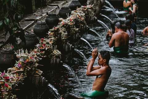 Ubud: Private Half-Day Tour Rice Terrace, Temple & Waterfall - Image 2