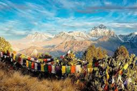 From Pokhara: 15 day Poon hill,ABC and Mardi Himal trek 15 days Poon hill,ABC and Mardi trek from pokhara