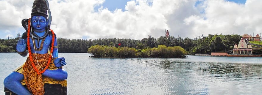 Explorez le sud-ouest avec un déjeuner local et une dégustation de rhum