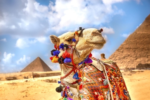 Hurghada: Camel Ride along Pyramids of Giza & Cairo Museum Private: Pyramids of Giza & Cairo Museum