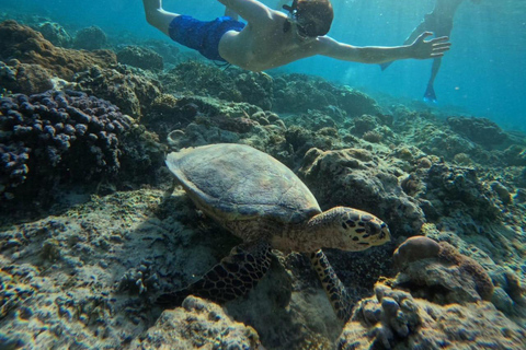 Gili island Snorkelling by private glass bottom boat