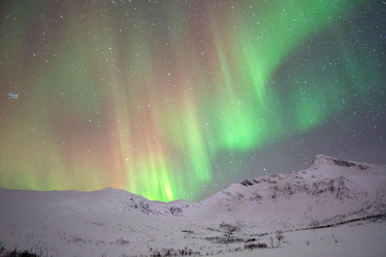 From Tromsø: Chinese Speaking Northern Light Chase
