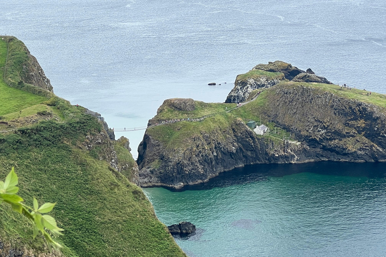 From Belfast: Giant's Causeway and Dark Hedges Day Tour