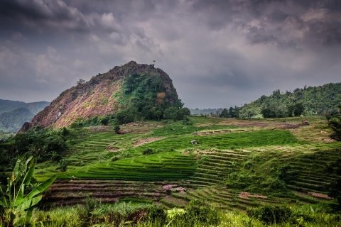 yogyakarta: Selogriyo, Marvel Amidst Java's Lush Terraces