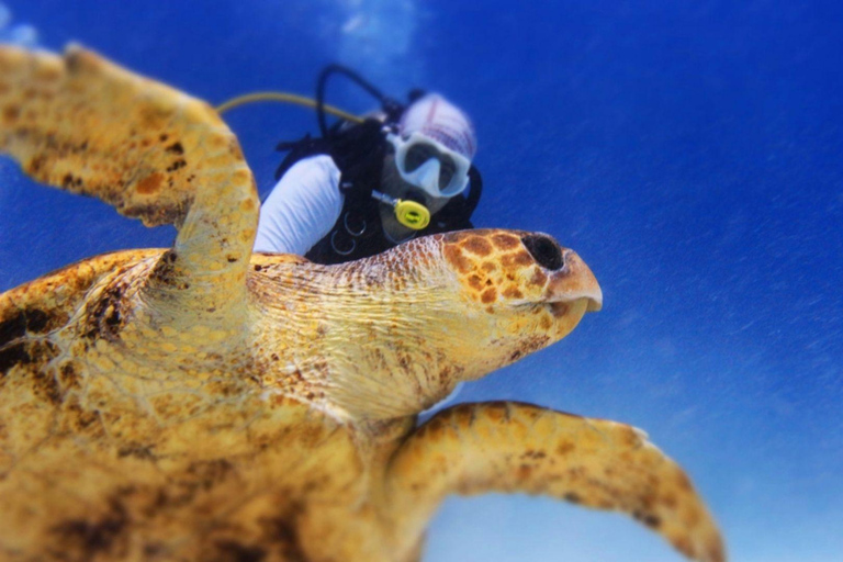 Cancún: Certified 2-Reef Diving Tour with Hotel Pickup