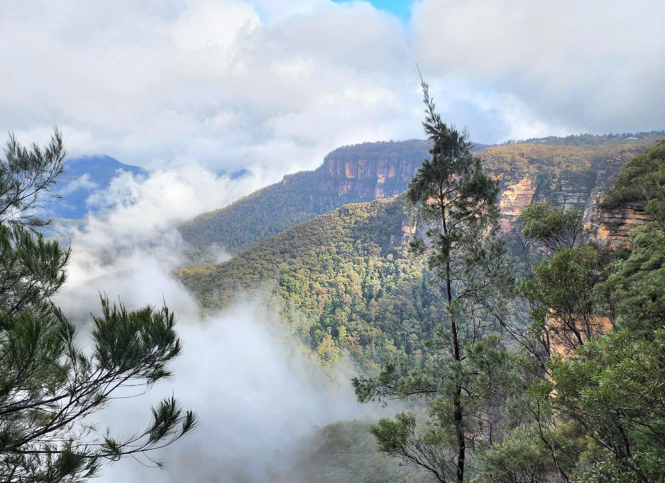 Fra Sydney: Blue Mountains-tur med vandfaldsvandring og frokost