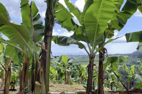 Full day tour: the best of the island w/photos drone sunset Full day tour: the best of the island w/photos drone sunset