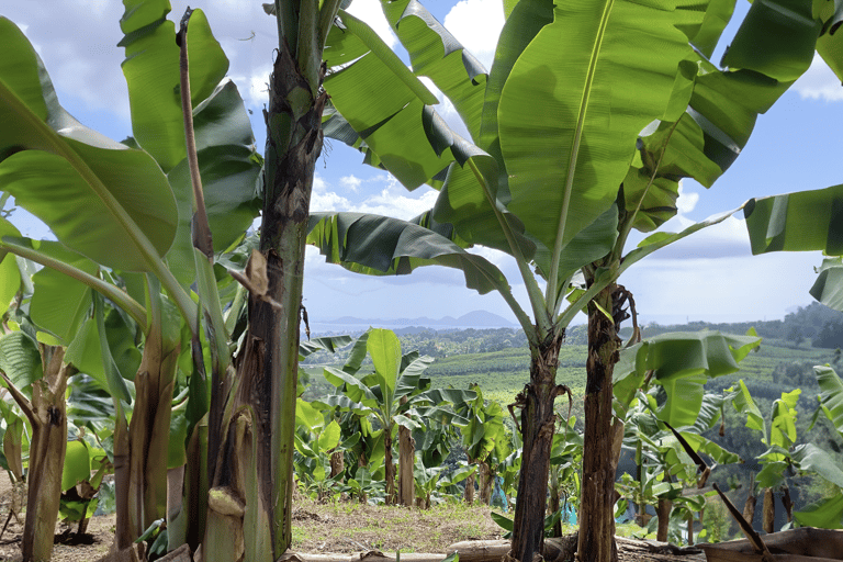 Full day tour: the best of the island w/photos drone sunset Full day tour: the best of the island w/photos drone sunset