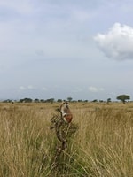 2-Tage See Mburo Wildlife Safari - Hizvo