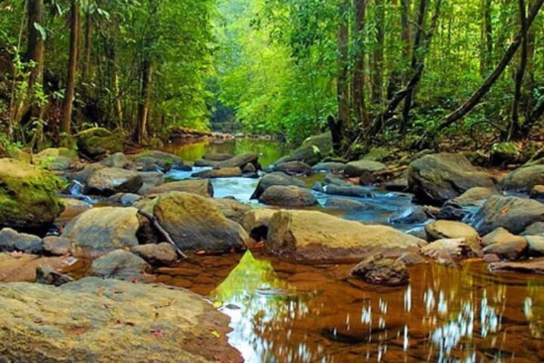 South Coast: Sinharaja Rainforest Walk and Waterfall