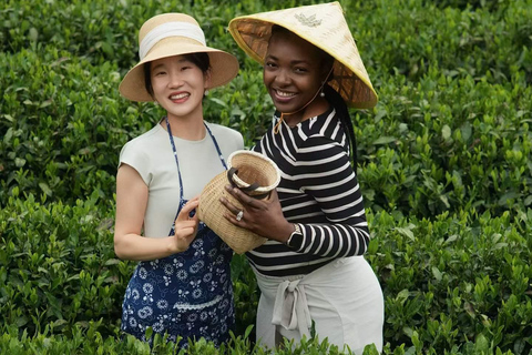 Meijiawu Authentic Longjing Tea Cultural Half-Day Experience Longjing Green Tea Picking & Roasting & Tasting 2-3hours