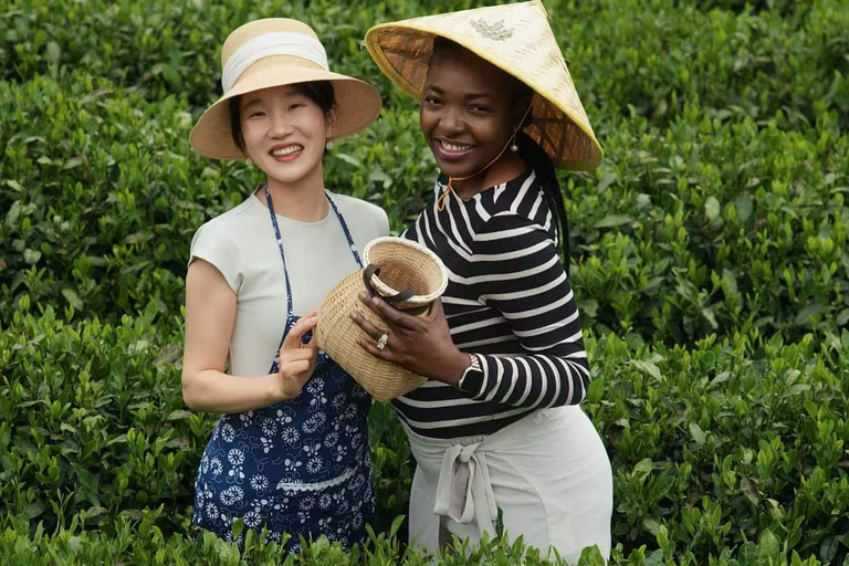 Meijiawu Authentic Longjing Tea Cultural Half-Day Experience Longjing Green Tea Picking & Roasting & Tasting 2-3hours