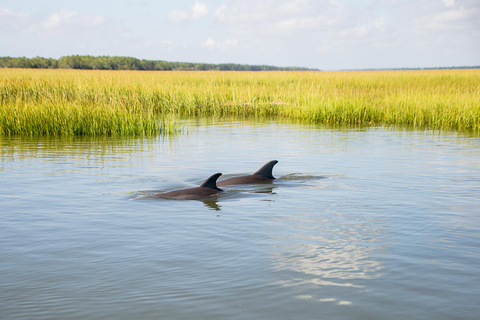 Charleston/Folly Beach: Sandbars & Swimming (BYOB) 3 Hour Private Trip