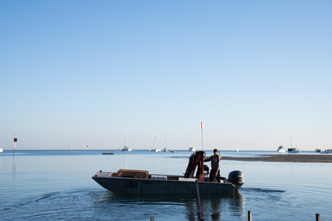 Stradbroke Island: First Nations Oyster Farm Tour & Tasting