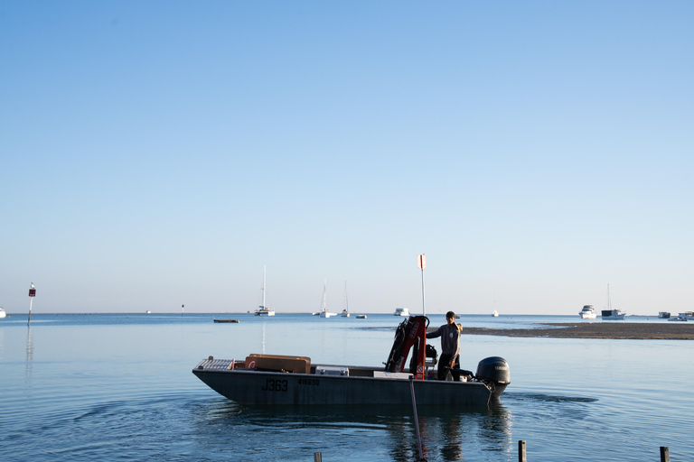 Stradbroke Island: First Nations Oyster Farm Tour & Tasting