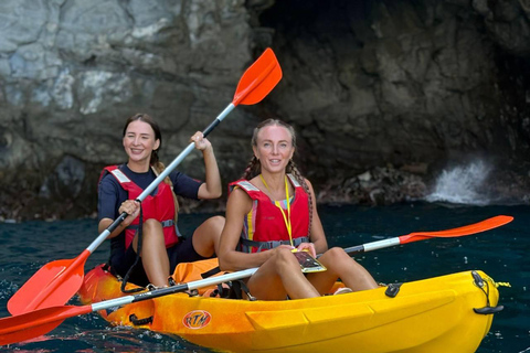 Tenerife: Kayak & Snorkeling, Turtles & Dolphins Watching Tenerife Kayak Ecotour 3 hours: Snorkeling & Turtle Watching