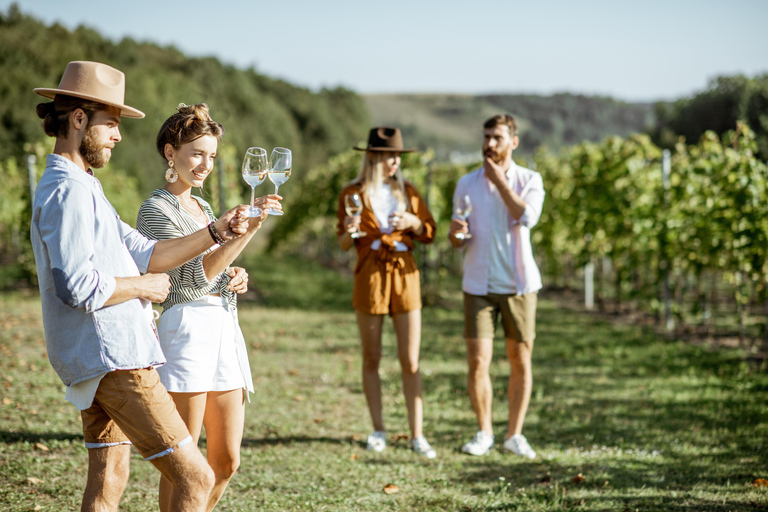 Escursione privata di un giorno: Ginevra a Lavaux Vineyards, Nyon e ritorno