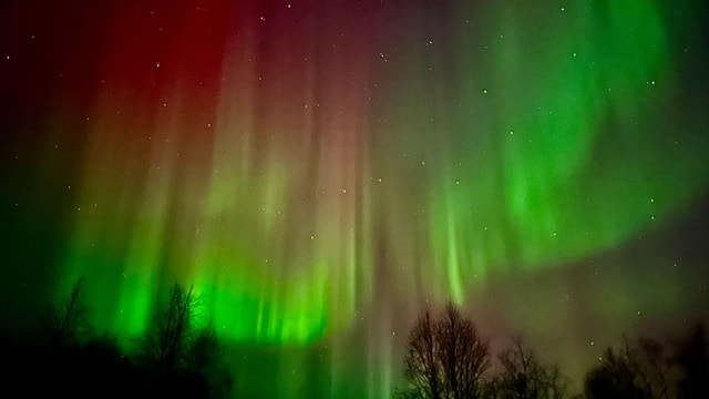 Inari/Ivalo: Aurora-jachttocht per auto met warme drankjes