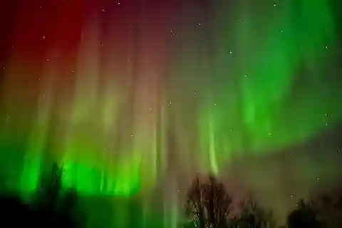 Inari/Ivalo: Excursión a la caza de la Aurora en coche con bebidas calientes