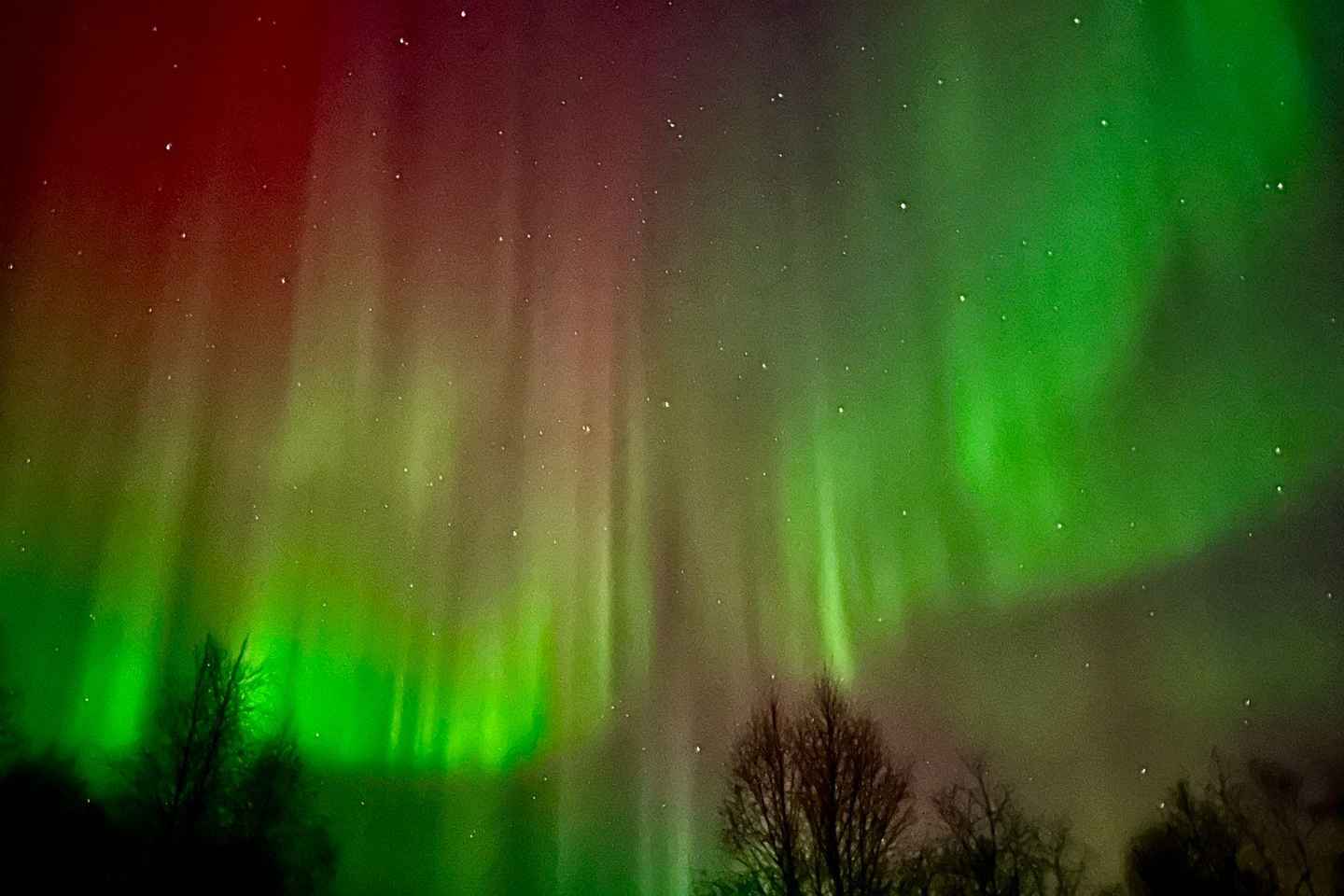 Inari/Ivalo: Aurora Hunting Tour by Car with Warm Drinks