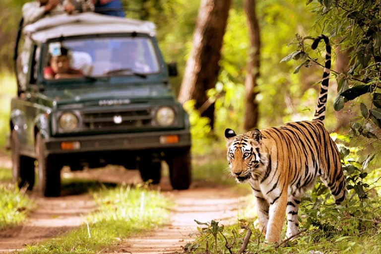 Van Kathmandu: 3-daagse Chitwan National Park-tour