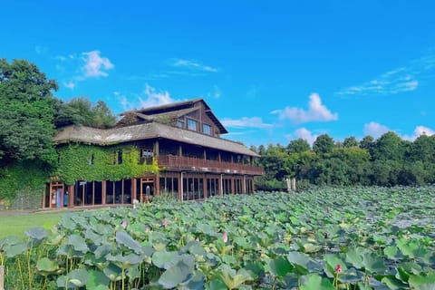 Shanghai Chongming Island Nature & Local Life Day Trip