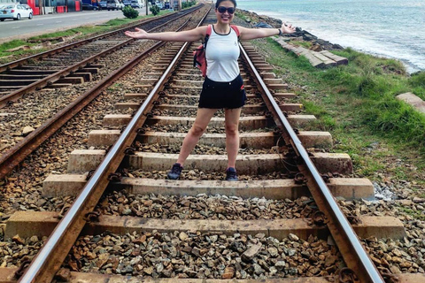 Kandy To Colombo Transfer With Tea Factory & Train Ride
