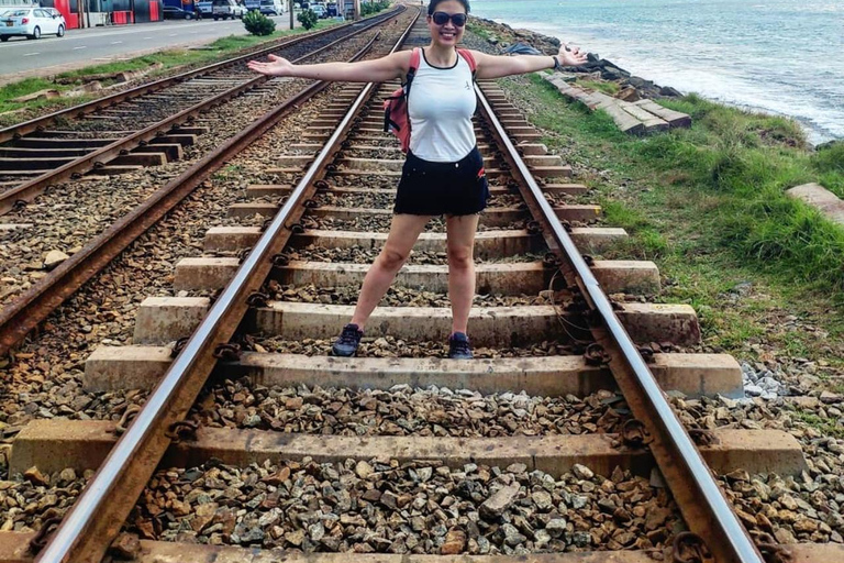 Kandy To Colombo Transfer With Tea Factory & Train Ride