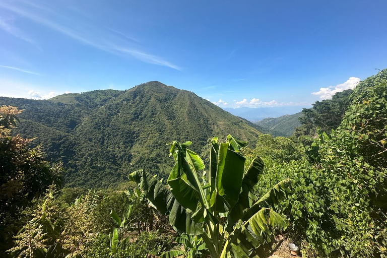 Medellin: Coffee and fruit tour