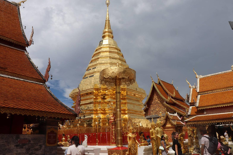 Chiang Mai: Wat Umong, Wat Pha Lat och Wat Doi Suthep TourPrivat tur med upphämtning på hotell