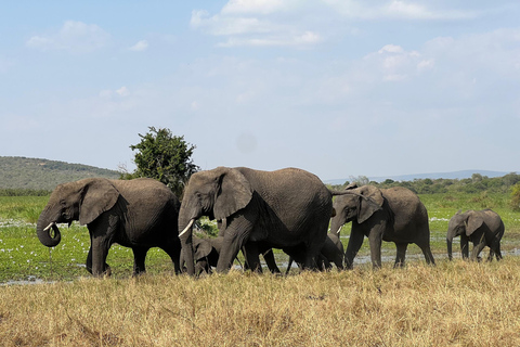 Safari de un día por la fauna de AkageraLand Cruiser (No open-r),Barco