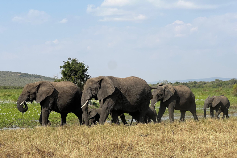 Safari de un día por la fauna de AkageraLand Cruiser (No open-r),Barco