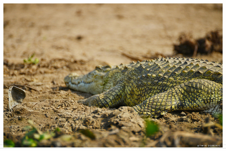 8 Days Uganda Wildlife Safari Adventure 8 Days Uganda Wildlife Safari Adventure