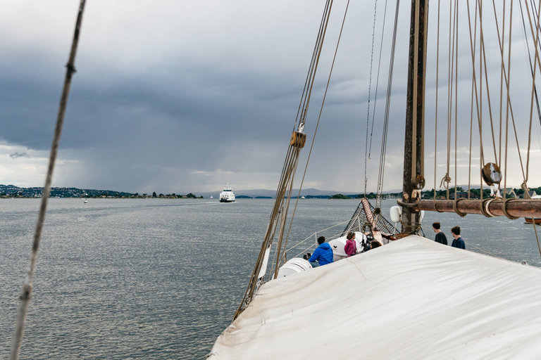 Oslo: avondtocht van 3 uur per boot door fjorden, met buffet