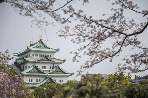 Nagoya: 3-Day Central Japan Spring Tour with Transfers Nagoya: 3-Day Central Japan Tour