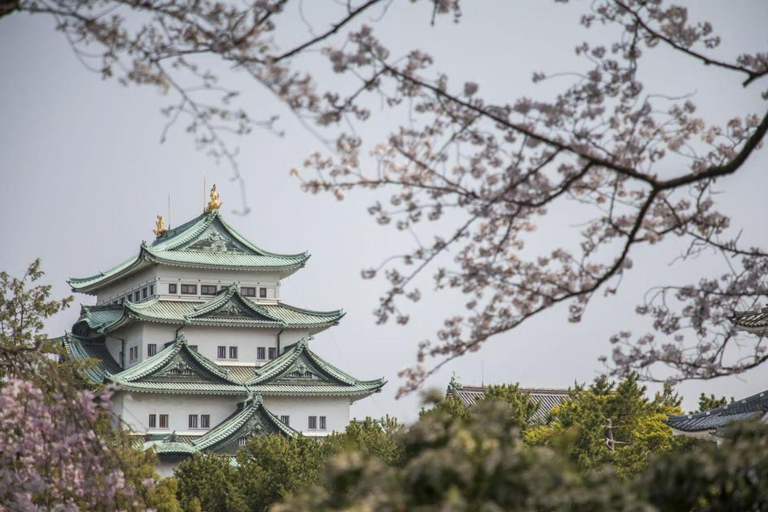 Nagoya: 3-Day Central Japan Spring Tour with Transfers Nagoya: 3-Day Central Japan Tour