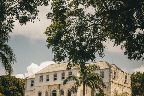 Excursión de un día al Safari por el Pantano y a la Gran Casa de Rose HallDesde Falmouth/ Trelawny