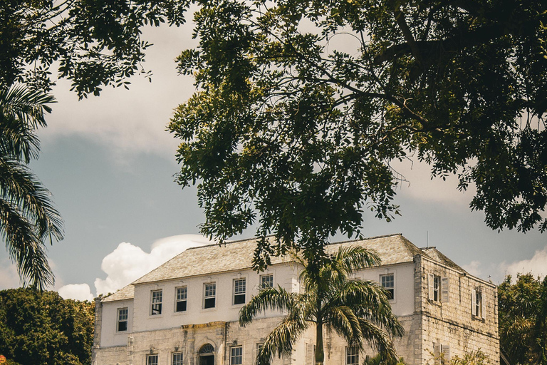 Luminous Lagoon and Rose Hall Great House Night Tour From Montego Bay