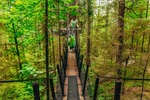 Zwiedzanie Vancouver i mostu wiszącego Capilano: Pół dniaŚwiąteczna wycieczka: Capilano Canyon Lights