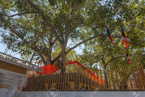 Sigiriya Dambulla Anuradhapura & Wilpattu safari 3-Day Tour Air Conditioned Van