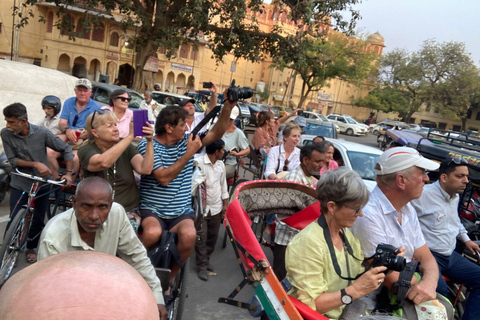 جولة خاصة في مدينة دلهي: مدينة دلهي القديمة ومدينة نيودلهي